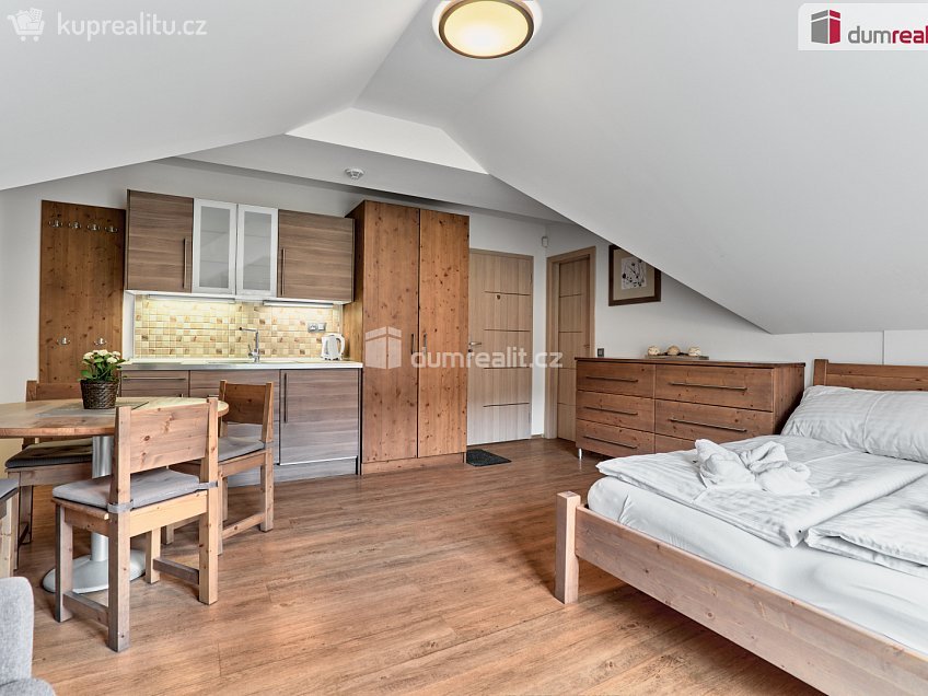 Prodej bytu 1+kk 27 m^2 Merklín, Merklín 