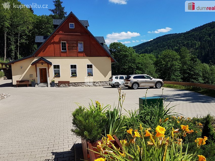 Prodej bytu 1+kk 37 m^2 Merklín, Merklín 