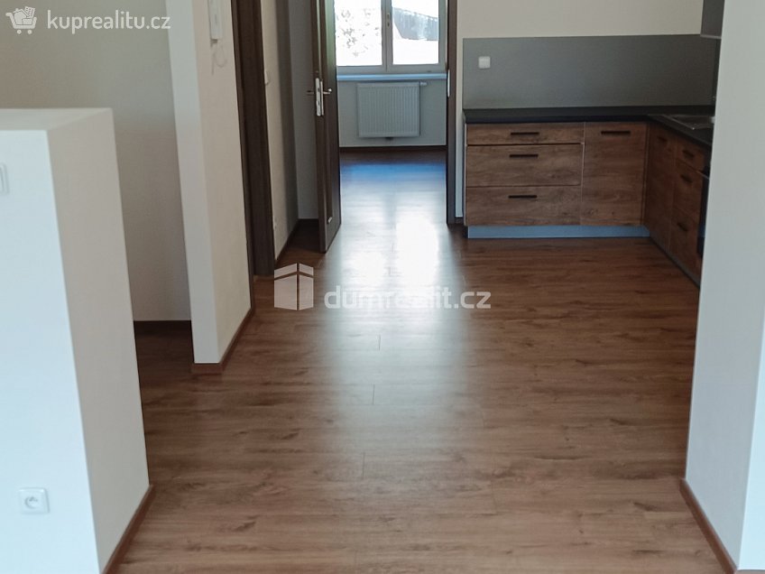 Pronájem bytu 2+kk 65 m^2 Elišky Krásnohorské, Ústí nad Labem 