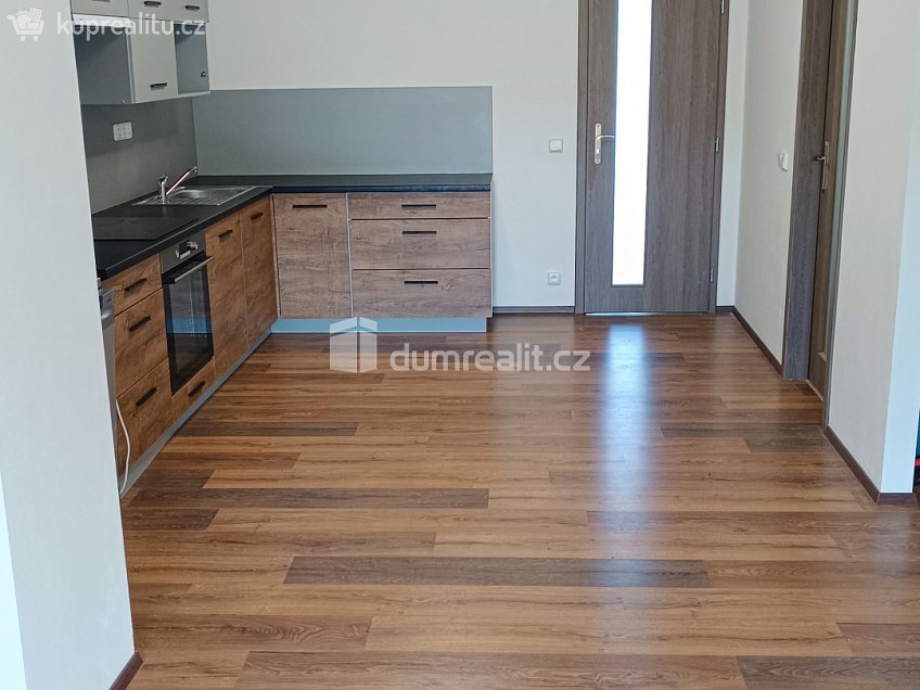Pronájem bytu 2+kk 65 m^2 Elišky Krásnohorské, Ústí nad Labem 