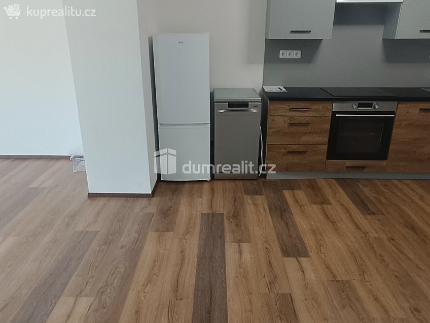 Pronájem bytu 2+kk 65 m^2 Elišky Krásnohorské, Ústí nad Labem 