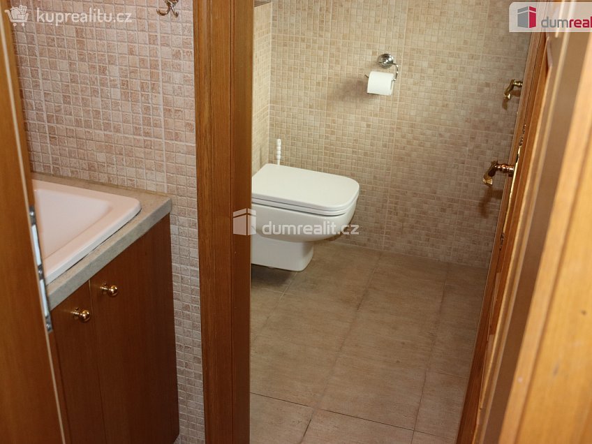 Pronájem  obchodních prostor 20 m^2 Bratislavská, Hustopeče 