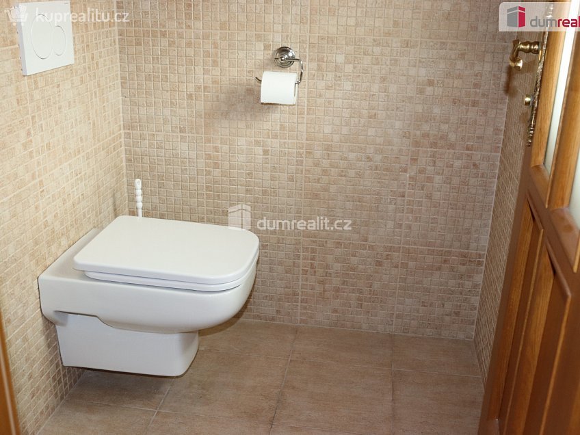 Pronájem  obchodních prostor 20 m^2 Bratislavská, Hustopeče 