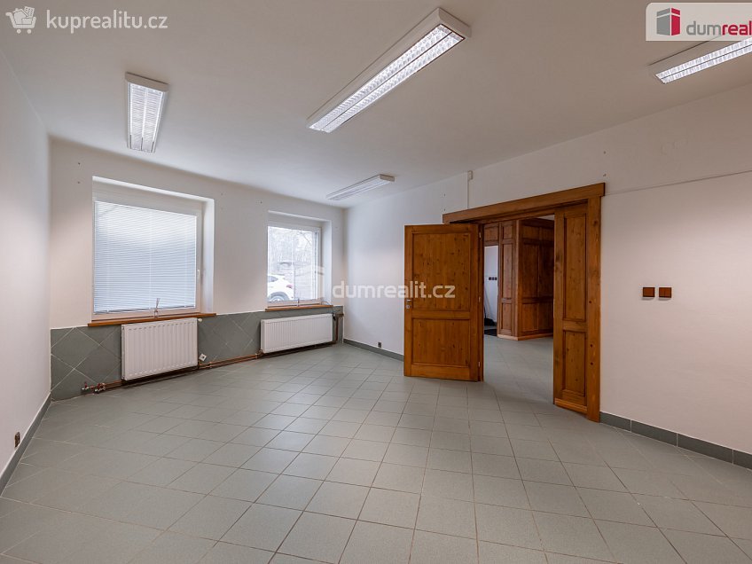 Prodej  komerční reality 456 m^2 Viničná, Mladá Boleslav 