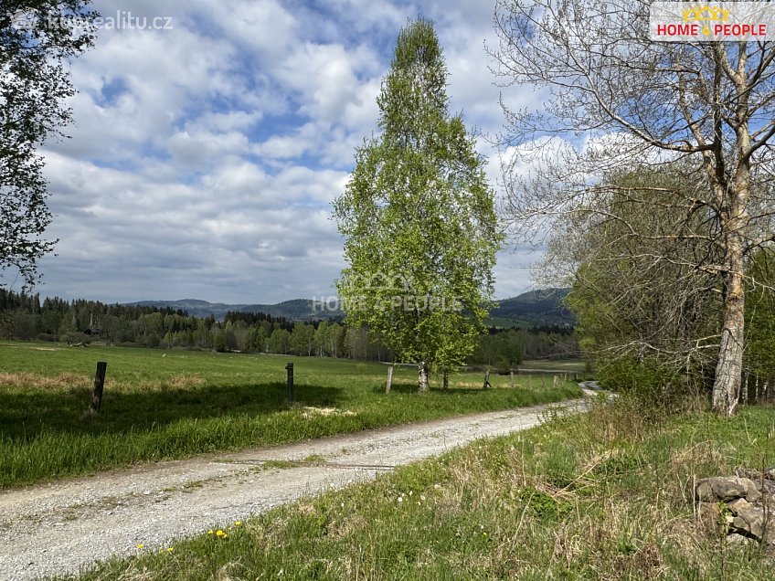 Prodej  stavebního pozemku 3286 m^2 Nová Pec, Nová Pec 