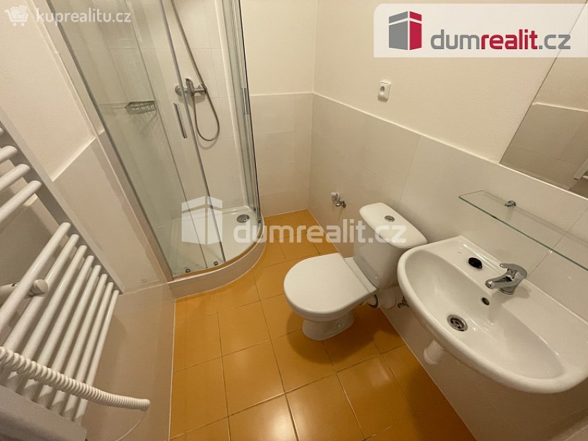 Pronájem bytu 1+kk 45 m^2 Na Valentince, Praha 5 