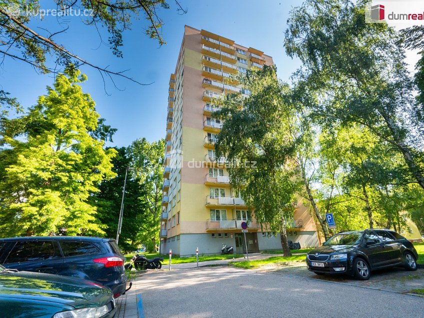 Pronájem bytu 1+1 52 m^2 Čéčova, České Budějovice 