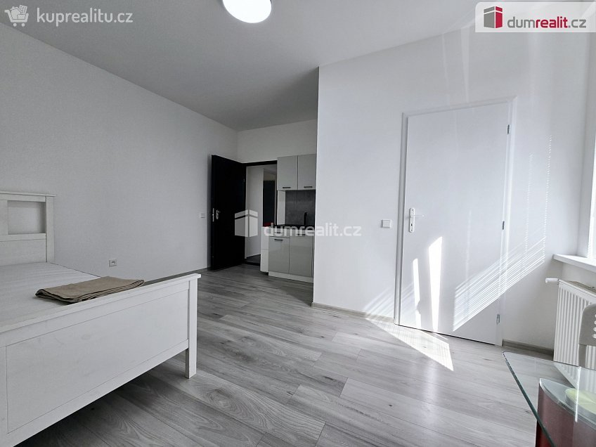 Pronájem bytu 1+kk 17 m^2 Nová, Lužná 