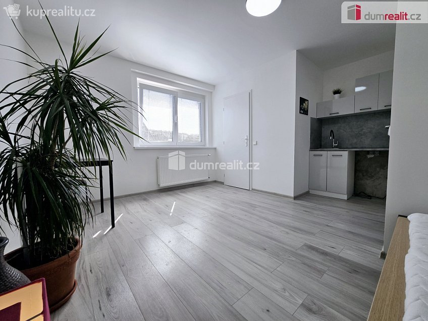 Pronájem bytu 1+kk 17 m^2 Nová, Lužná 
