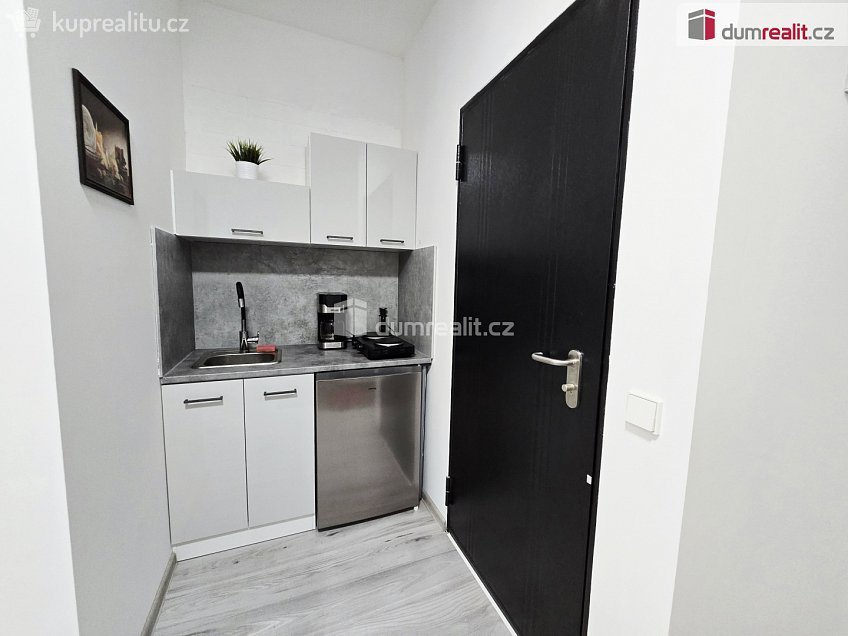 Pronájem bytu 1+kk 17 m^2 Nová, Lužná 