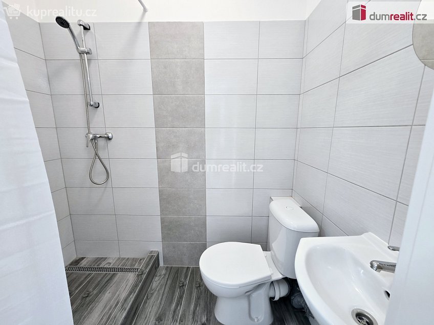 Pronájem bytu 1+kk 17 m^2 Nová, Lužná 