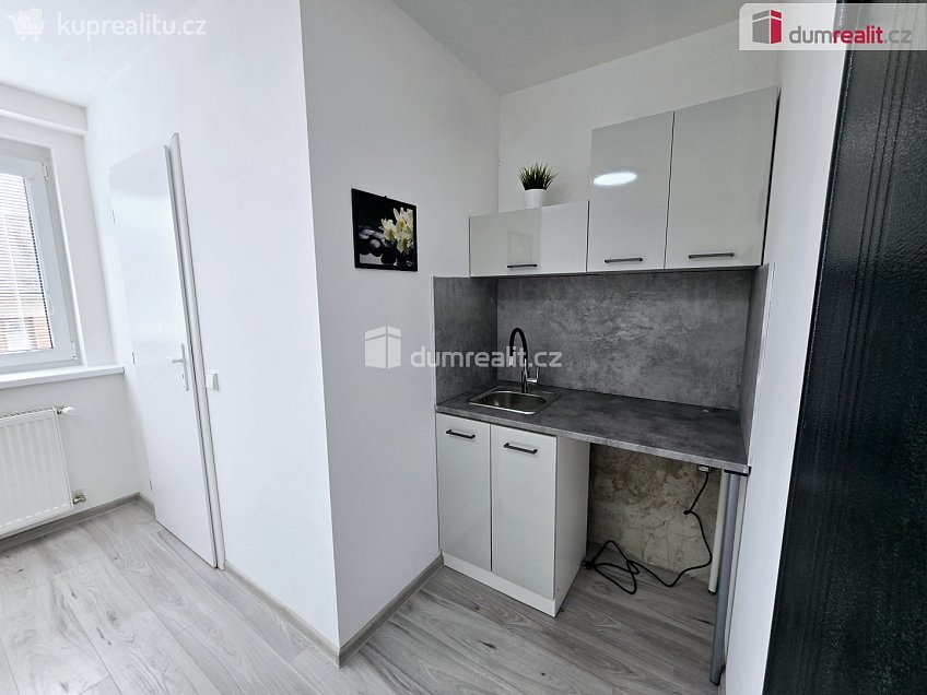 Pronájem bytu 1+kk 17 m^2 Nová, Lužná 