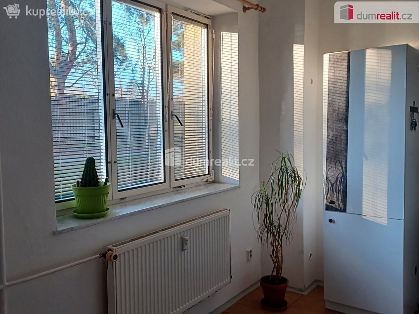 Pronájem bytu 1+kk 29 m^2 sídl. Na Pražské, Suchdol nad Lužnicí 