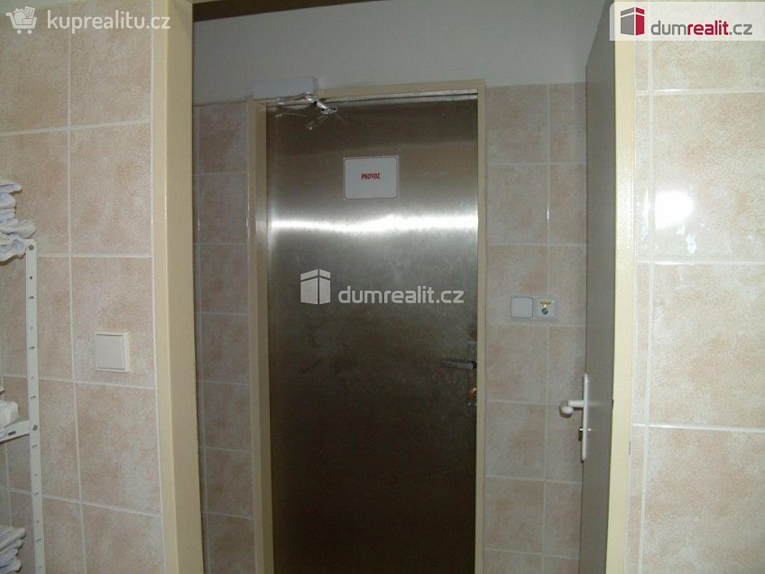 Pronájem  výrobních prostor 1233 m^2 Buchenwaldská, Karlovy Vary 