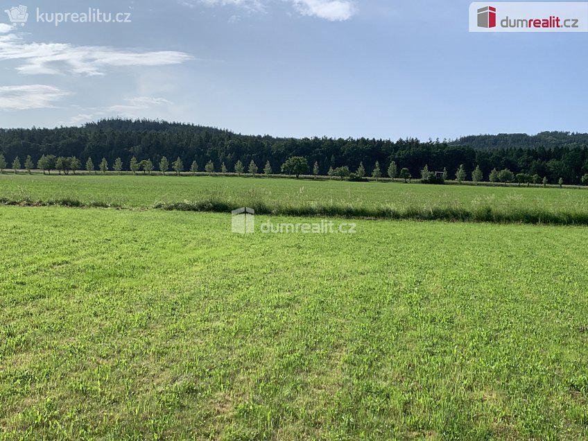 Prodej  stavebního pozemku 3906 m^2 Podbrdy, Podbrdy 