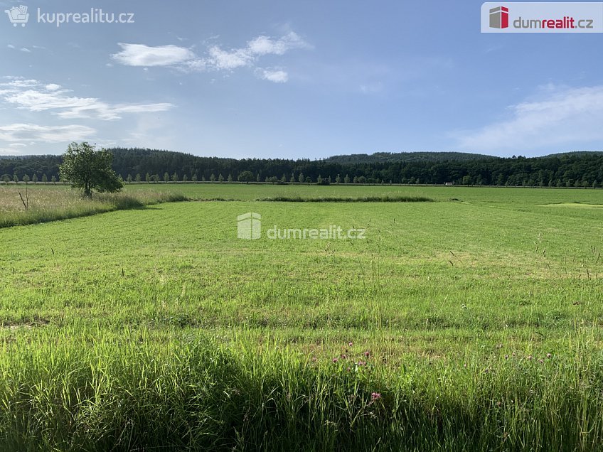 Prodej  stavebního pozemku 3906 m^2 Podbrdy, Podbrdy 