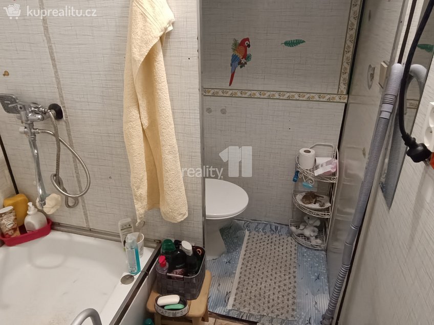 Pronájem bytu 1+kk 35 m^2 Svojsíkova, Nový Bor 