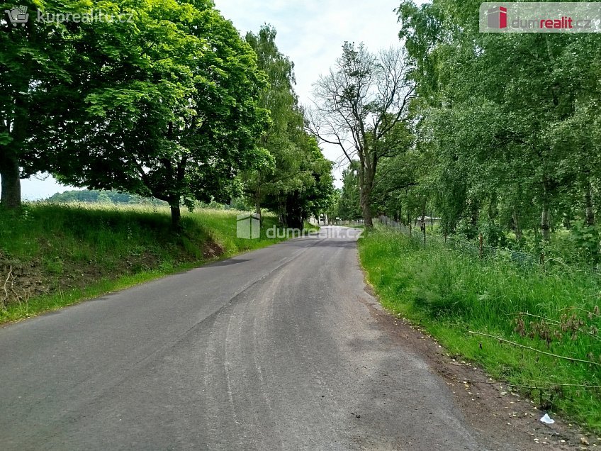 Prodej  louky 14201 m^2 Místo, Místo 