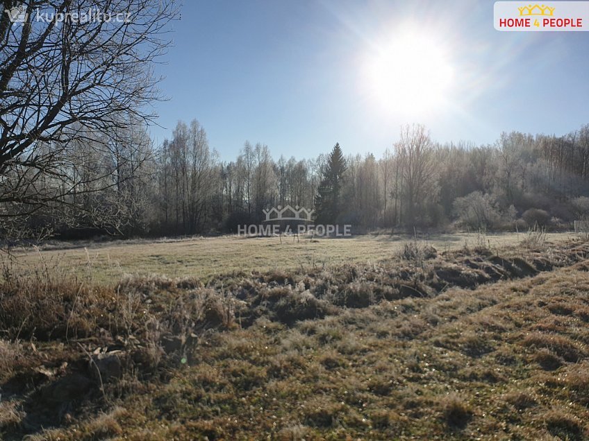 Prodej  stavebního pozemku 3286 m^2 Nová Pec, Nová Pec 