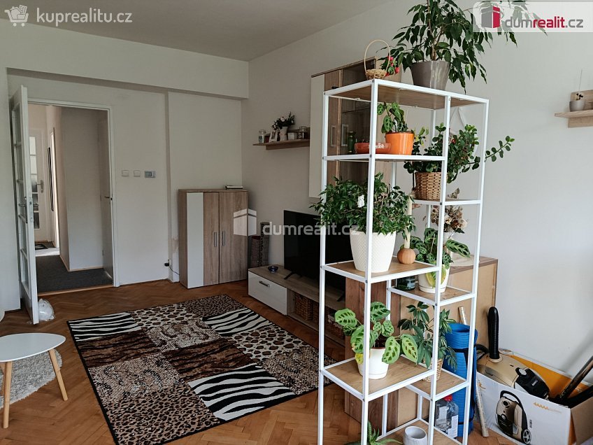 Pronájem bytu 2+1 53 m^2 Dvorecká, Praha 4 