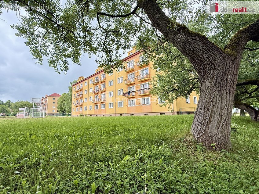 Prodej bytu 2+1 65 m^2 Ostrov, Ostrov 