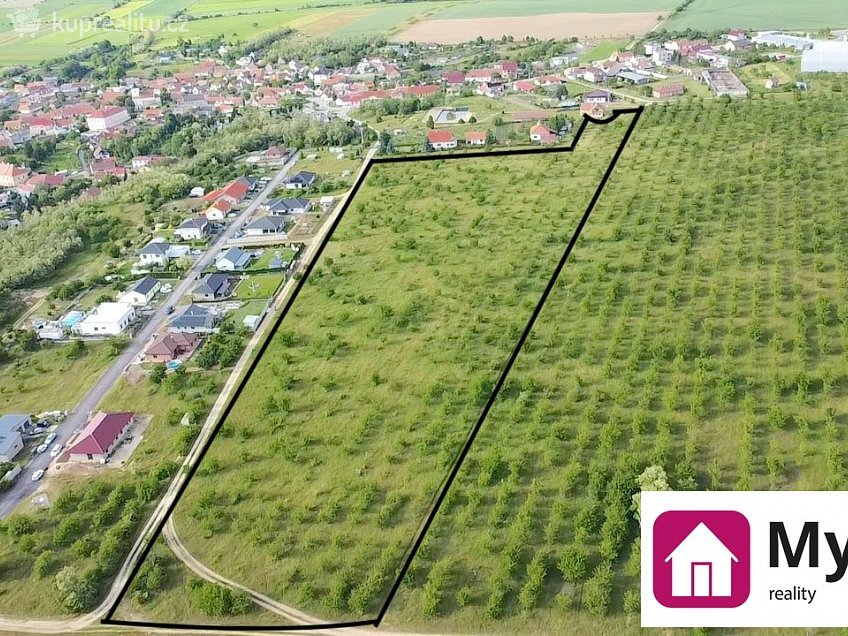 Prodej  sadů/vinic 60000 m^2 Mikulovice, Mikulovice 