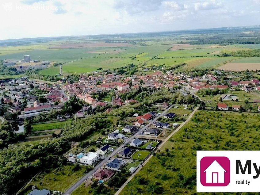 Prodej  sadů/vinic 60000 m^2 Mikulovice, Mikulovice 