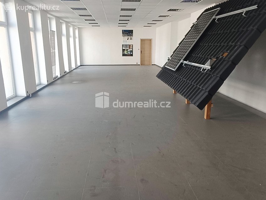 Prodej  výrobních prostor 793 m^2 Dělnická, Děčín 