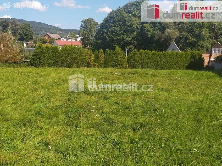 Prodej  zemědělských prostor 4386 m^2 Bílá, Bílá 