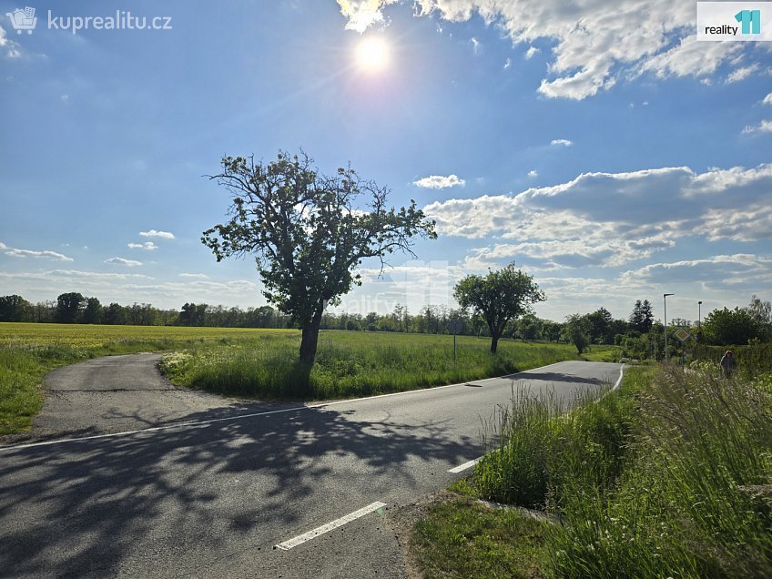 Prodej  stavebního pozemku 7185 m^2 Močovice, Močovice 