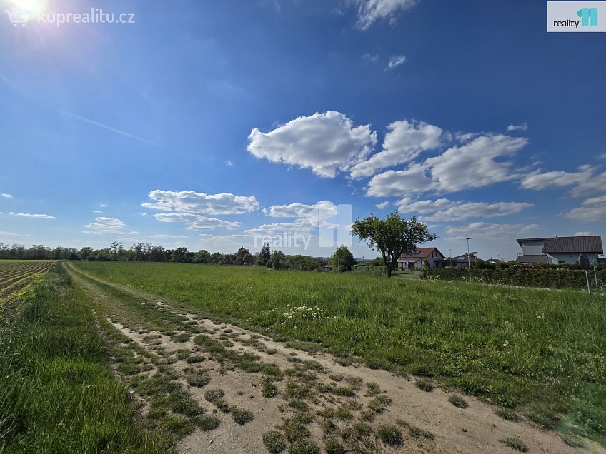 Prodej  stavebního pozemku 7185 m^2 Močovice, Močovice 