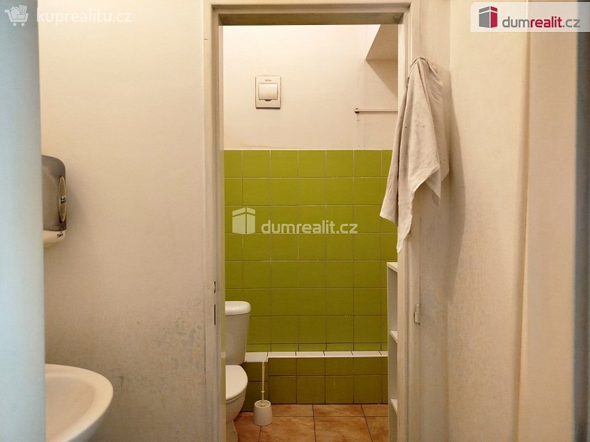Pronájem  obchodních prostor 50 m^2 Vítězná, Karlovy Vary 