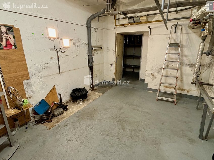 Pronájem  obchodních prostor 276 m^2 Vítězná, Karlovy Vary 