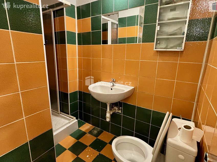 Pronájem  obchodních prostor 276 m^2 Vítězná, Karlovy Vary 