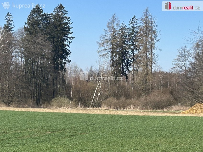 Prodej  lesa 38487 m^2 Vlkanov, Vlkanov 