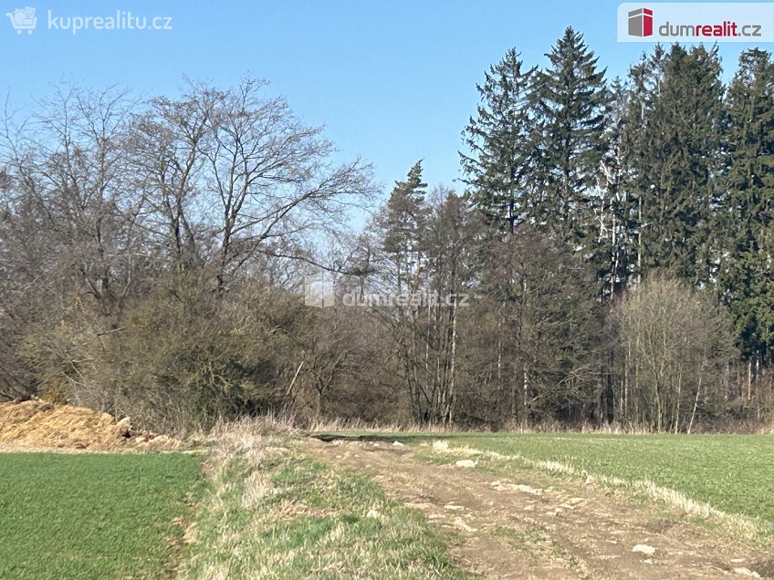 Prodej  lesa 38487 m^2 Vlkanov, Vlkanov 