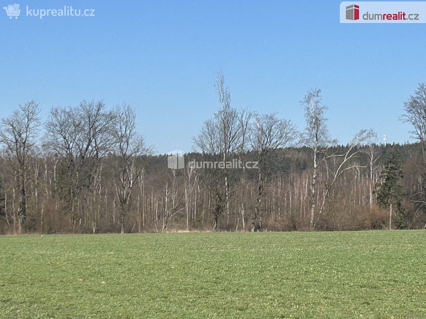Prodej  lesa 38487 m^2 Vlkanov, Vlkanov 