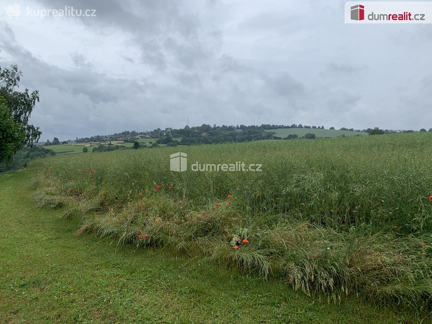 Prodej bytu 2+1 44 m^2 Stínadla, Ledeč nad Sázavou 