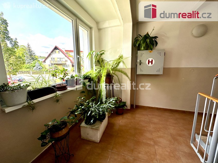 Pronájem bytu 2+kk 40 m^2 Dukelská, Litoměřice 