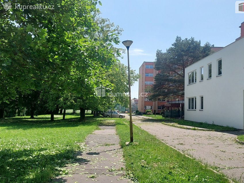 Prodej bytu 1+kk 30 m^2 Školní, Otrokovice 