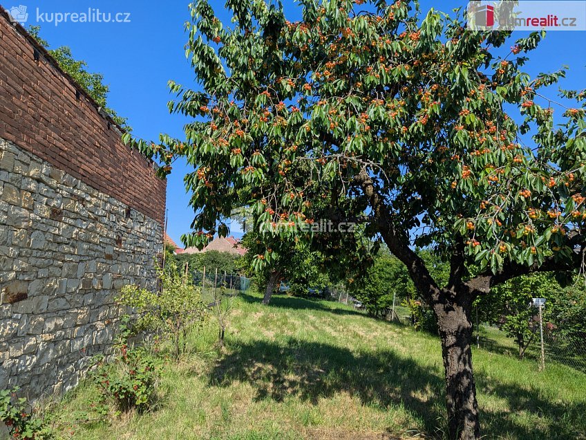 Prodej  rodinného domu 307 m^2 Na Karlově, Peruc 