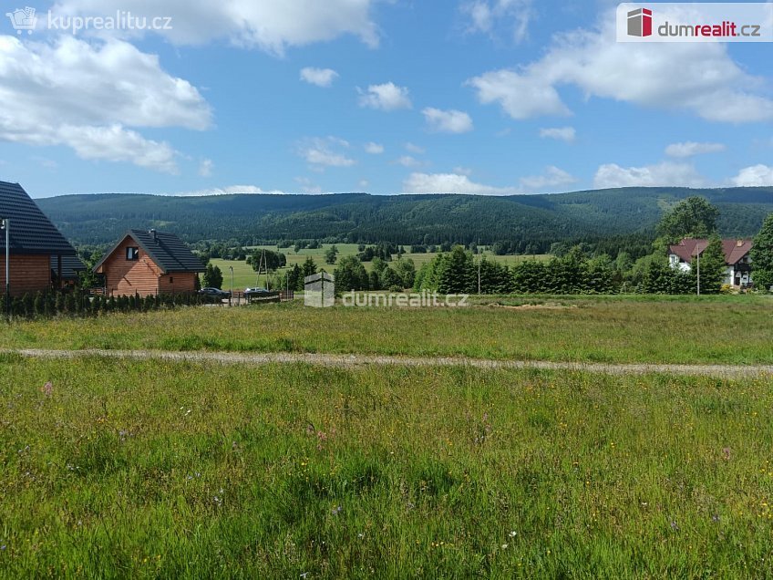 Prodej  stavebního pozemku 3720 m^2 Orlické Záhoří, Orlické Záhoří 