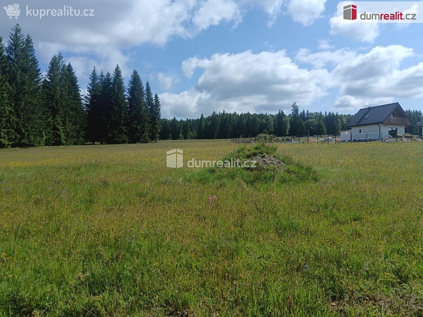 Prodej  stavebního pozemku 3720 m^2 Orlické Záhoří, Orlické Záhoří 