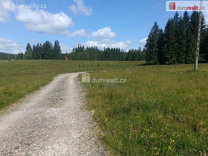 Prodej  stavebního pozemku 3720 m^2 Orlické Záhoří, Orlické Záhoří 