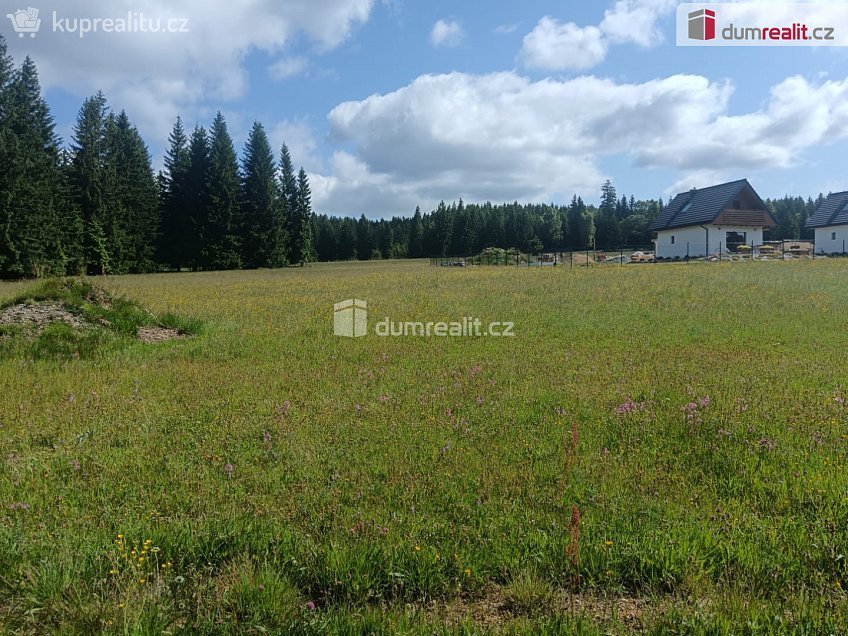 Prodej  stavebního pozemku 3720 m^2 Orlické Záhoří, Orlické Záhoří 