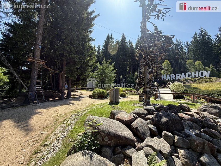 Prodej bytu 2+kk 60 m^2 Harrachov, Harrachov 