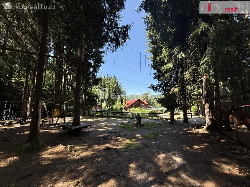 Prodej bytu 2+kk 60 m^2 Harrachov, Harrachov 