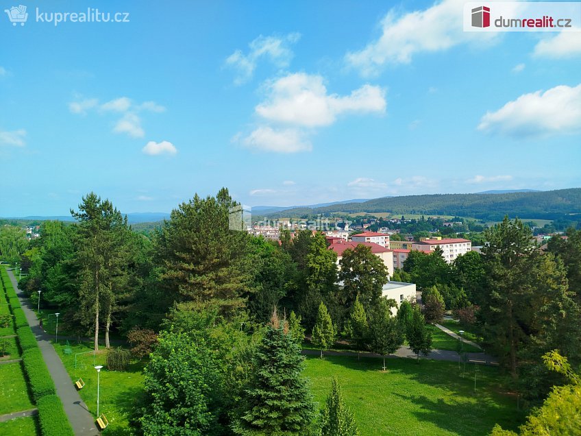 Pronájem bytu 2+1 62 m^2 Dvořákova, Karlovy Vary 