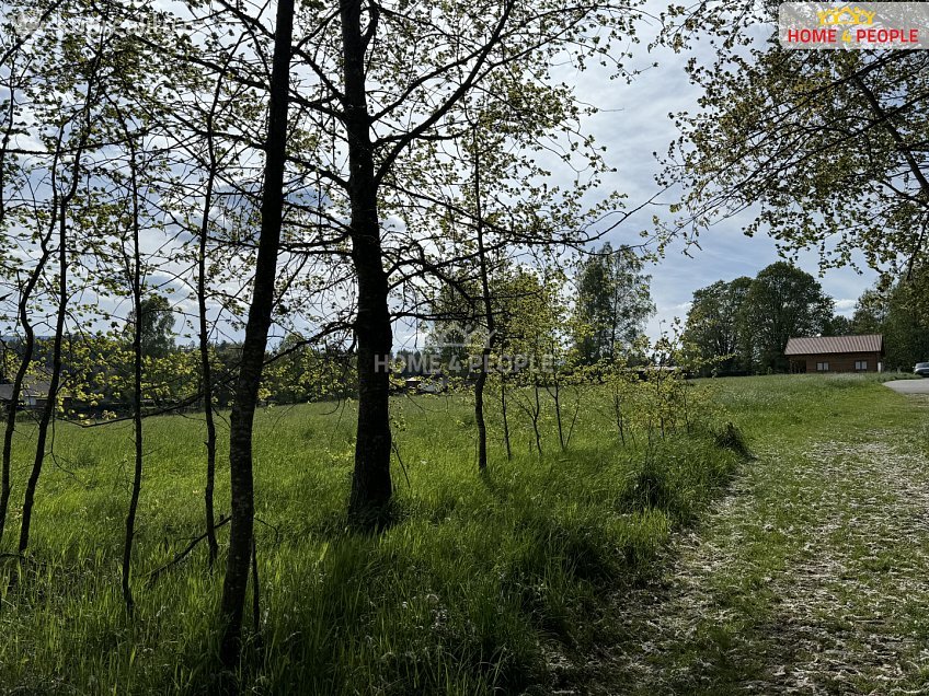 Prodej  louky 3836 m^2 Nová Pec, Nová Pec 