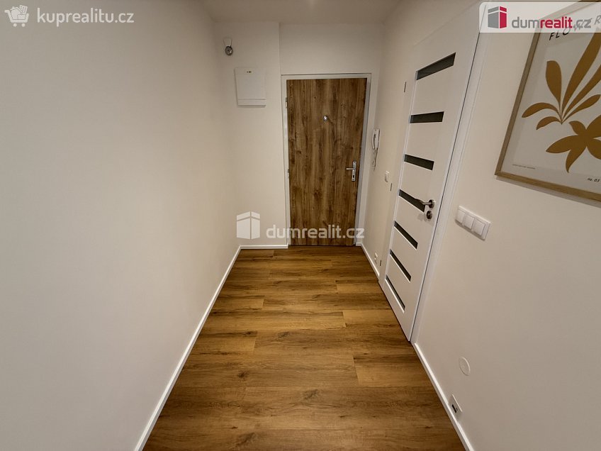 Pronájem bytu 2+kk 45 m^2 Kosmická, Praha 11 